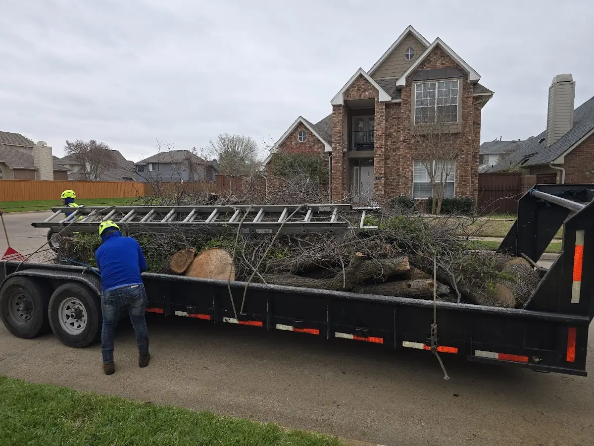 Expert Lot Clearing with proper safety equipment in Baldwin